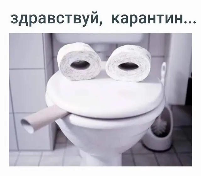 Туалетная бумага: не знаете, куда девать запасы? Несколько весёлых лайфхаков (ФОТО)