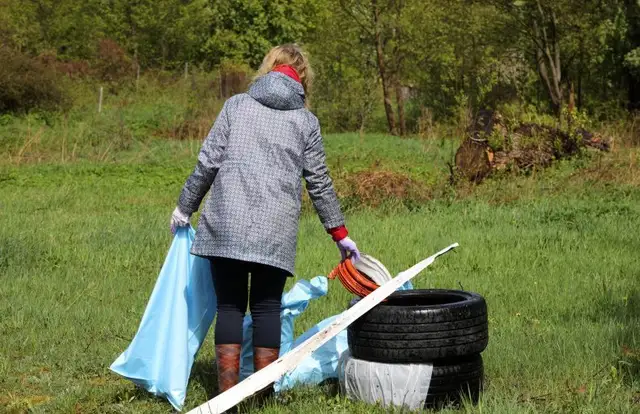 Большая картина, 40 телевизоров и подпольный бар: находки Большой толоки