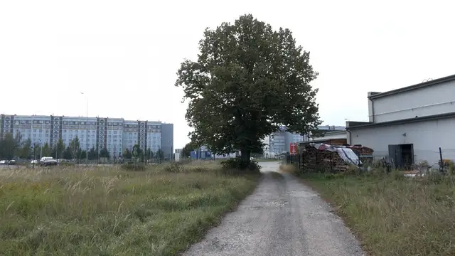 В Дрейлини мужчина, выгуливая собаку, удивился ее странному поведению: в кустах лежал труп человека