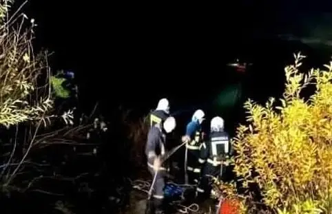 Спасатели 4 часа вытаскивали из грязи корову: ЧП под Бауской