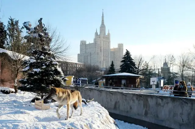 Сонное царство и находится оно в самом центре огромной Москвы, на Красной Пресне