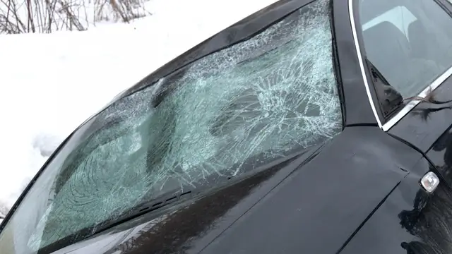 Apdrošinātājs izmaksājis 360 eiro par zivs nokrišanu no gaisa uz auto vējstikla