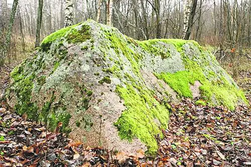 Маршрут выходного дня: прогулка вдоль реки Виесаты, каменная тропа Яунсташулю, тропа Снежной королевы