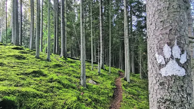Латвию впервые включили в путеводитель Lonely Planet: что рекомендуют у нас посмотреть?