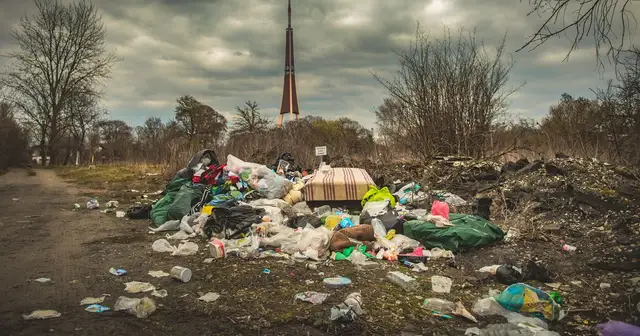 Столица тонет в мусоре: в год на рижских кладбищах и в лесах выбрасывают 300 тонн строительных отходов