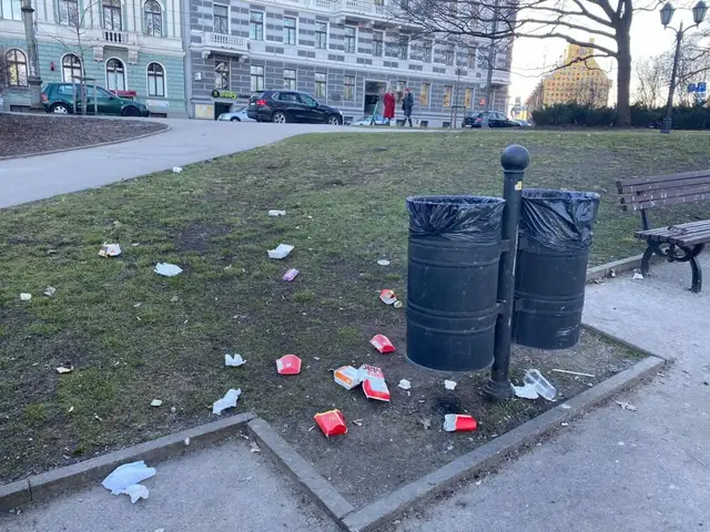 Мусор у наших домов: кому убирать?