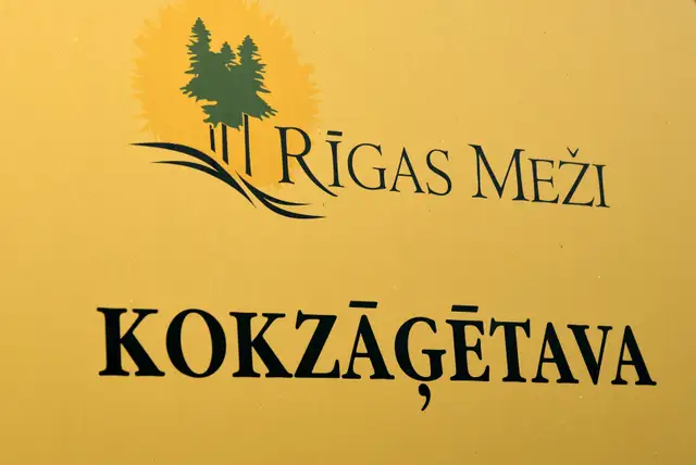 «Rīgas meži» atsāks mežizstrādi Juglas mežniecībā pie Juglas papīrfabrikas ciemata