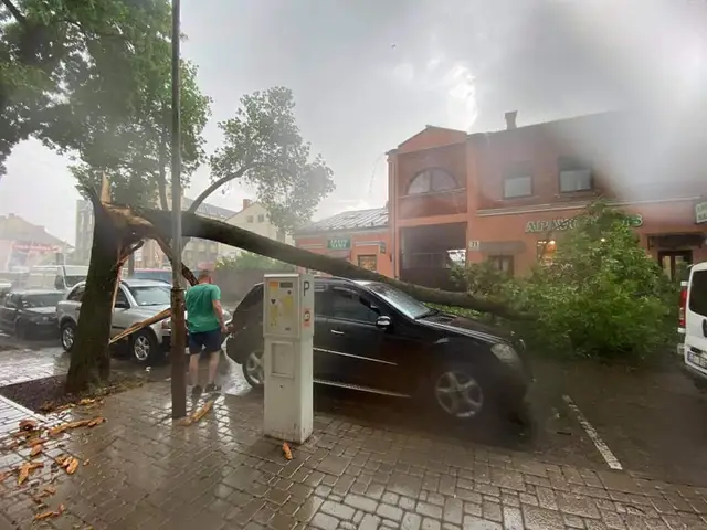 Negaiss pirmdien Daugavpilī sagāzis vismaz 30 kokus