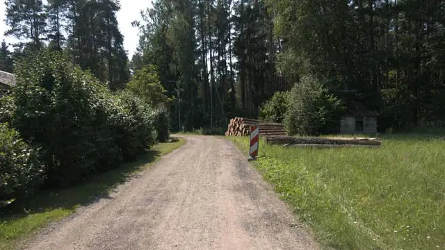 «Врезался в дрова»: в Юмправе погиб водитель мотороллера