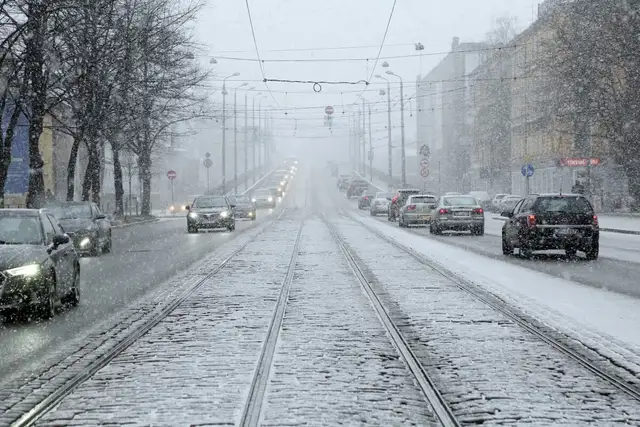 «Bolt Drive» un «CityBee» Jaungada naktī ierobežos koplietošanas automašīnu pakalpojumus