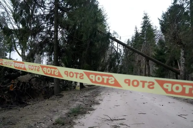 За сутки — 32 вызова спасателей на ликвидацию последствий сильного ветра