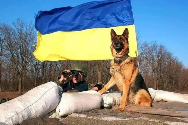 Украина намерена вернуть мужчин из-за рубежа для мобилизации