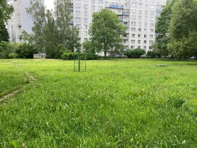 Траву не косят: можно ли наказывать владельца земли?
