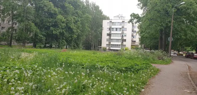 Karstā un sausā laika dēļ RNP pārtrauc zāles pļaušanu