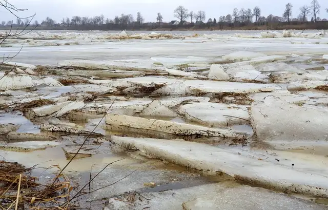 Glābēji krastā palīdz nokļūt pa ledus vižņiem Daugavas vidū kāpelējušam vīrietim