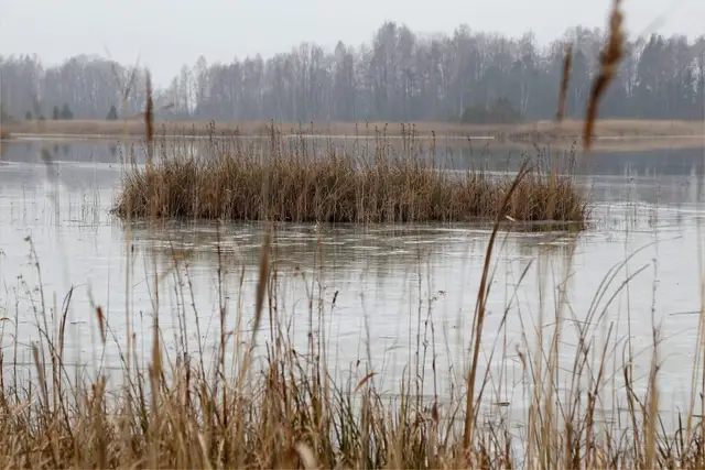 «Lauku ceļotājs»: Lauku tūrisms piesaista ar neskartu dabu un maz cilvēkiem