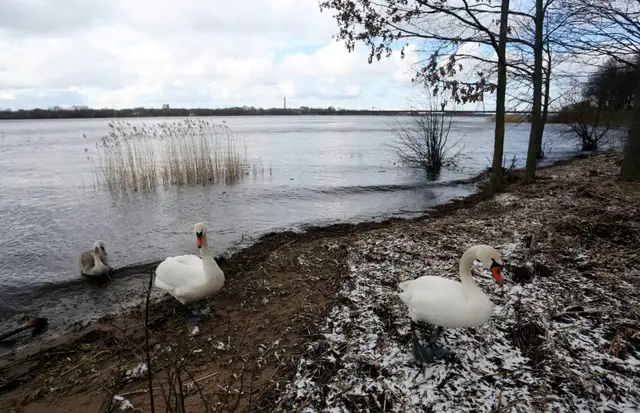 Janvāra otrajā pusē gaidāms silts laiks, nokrišņu kļūs mazāk