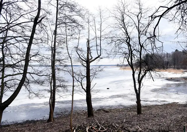 Prognoze sestdienai: vēja brāzmas, bez nokrišņiem, temperatūra virs nulles