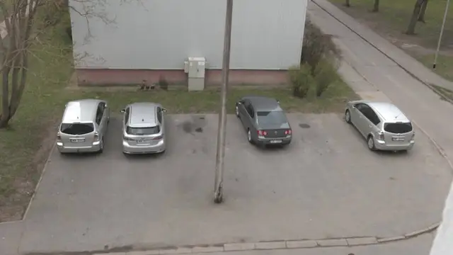 Где ж тогда парковаться? Рижане в шоке от штрафов