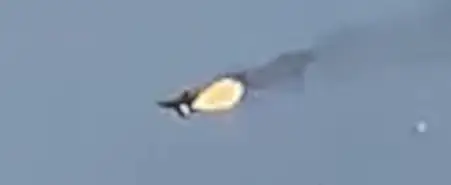 В России разбился истребитель МиГ-31 (ВИДЕО)