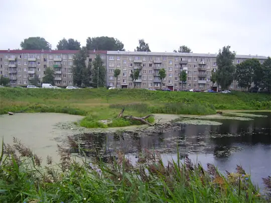 «Клуб пьяниц» прямо возле школы: у Кенгарагского пруда избивают прохожих
