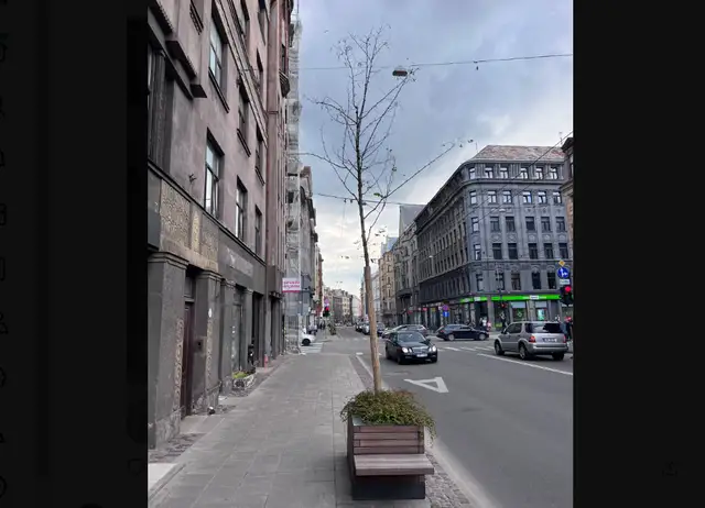 Друзья, не хорошо! Градация засыхания деревьев на улице Чака в столице