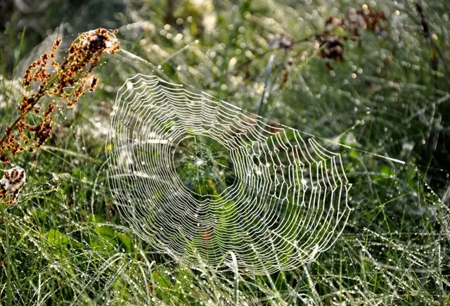 Svētdien uzspīdēs saule un valsts lielākajā daļā nelīs