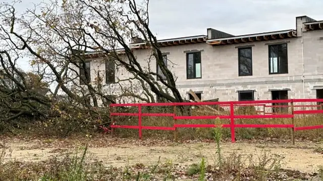 Uzņēmums pārsūdzējis spriedumu par rindu mājas nojaukšanu pie Mārupē nozāģētā dižozola