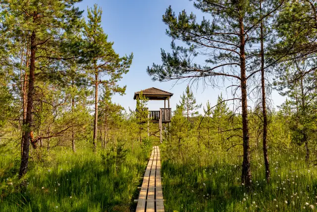 Latvijas dabas takas iekļautas «Lonely Planet» nākamā gada ceļvedī