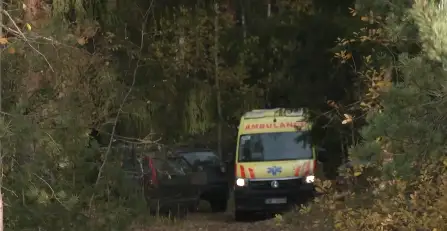 Тело младенца найдено в брошенной в лесу машине: телепрограмма
