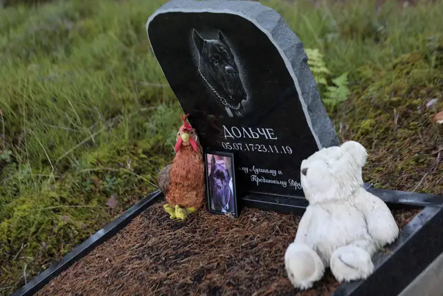Господа, вы звери! Несколько историй от директора кладбища для домашних животных