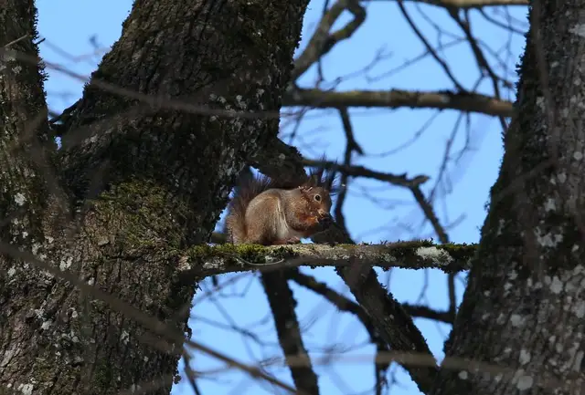 Svētdienas diena būs saulaina un sausa