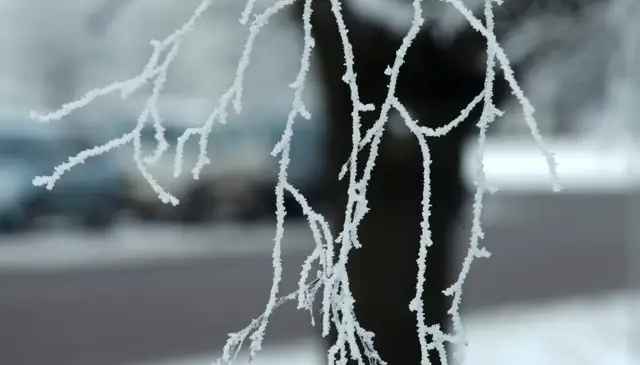 Aukstajā laikā ilgstoši nekurinātā mājoklī atrod mirušu cilvēku