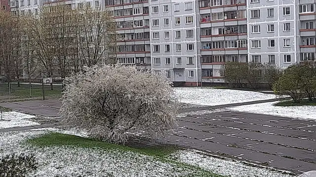 Nedēļas nogale būs vēsa, daudzviet īslaicīgi līs