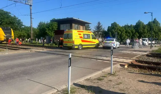 Она почти добежала: подробности гибели несовершеннолетней в Саласпилсе