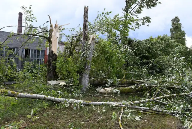 Vakar glābēji devušies uz 20 izsaukumiem, kur bija jāpalīdz novākt negaisa nolauztus kokus