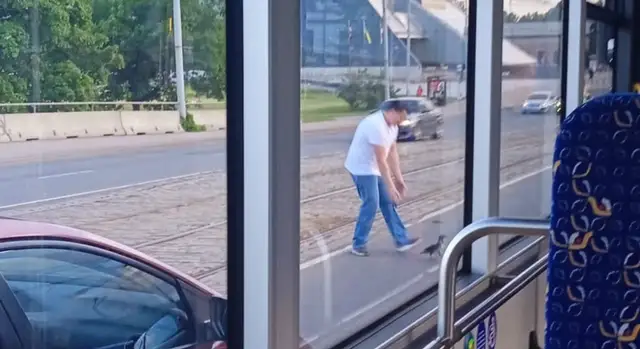 Перегородил автобусом обе полосы: как водитель ловил воронёнка