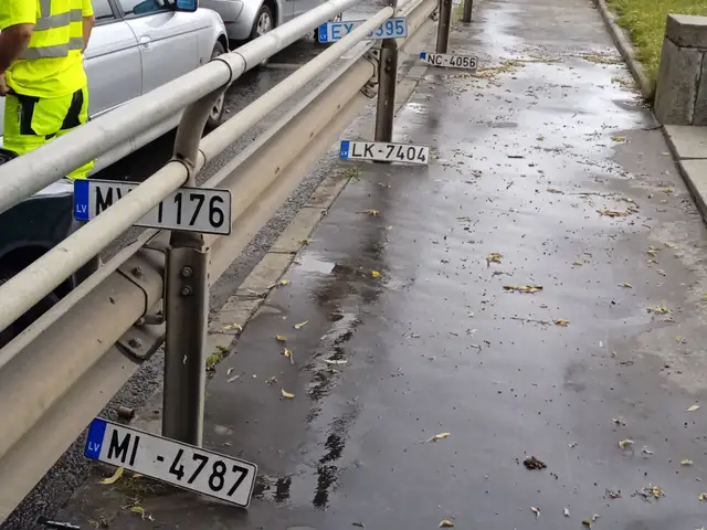 «Бюро находок» у моста. Возможно, один из них — ваш номер, потерянный в гигантской луже? (ФОТО)
