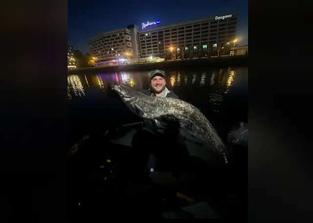 Язь? Возле дамбы АВ в Риге поймали огромную рыбу