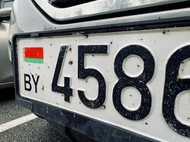Литва все же будет пропускать ряд авто с номерами Беларуси