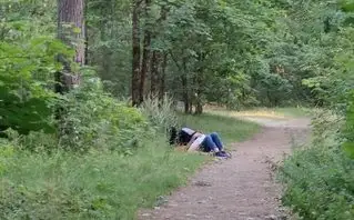 А в кустах клещи! В сети горячо обсуждают фото пары, занявшейся сексом на тропинке у «Альфы»