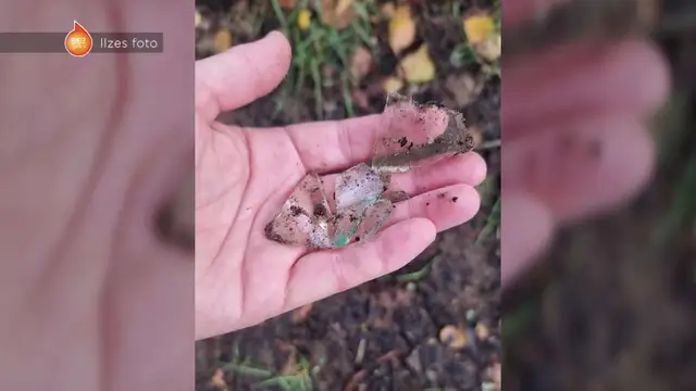 Откуда вокруг новой детской площадки в Зиепниеккалнсе столько битого стекла? Мамы в шоке
