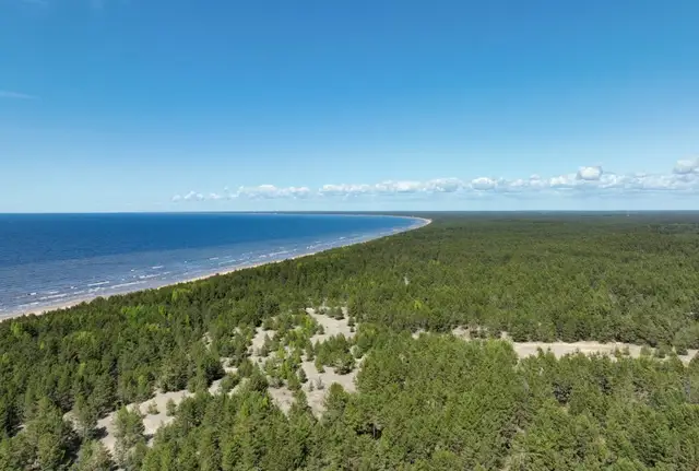 Latvija iestājusies mežiem bagāto valstu stratēģiskajā aliansē «For Forest Group+»