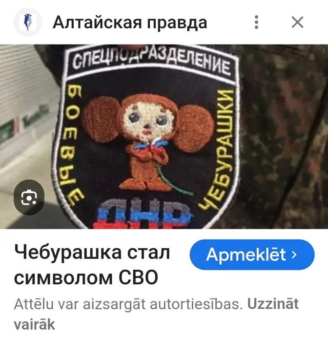 Лиана Ланга обезвредила отряд чебурашек-диверсантов в Марупе
