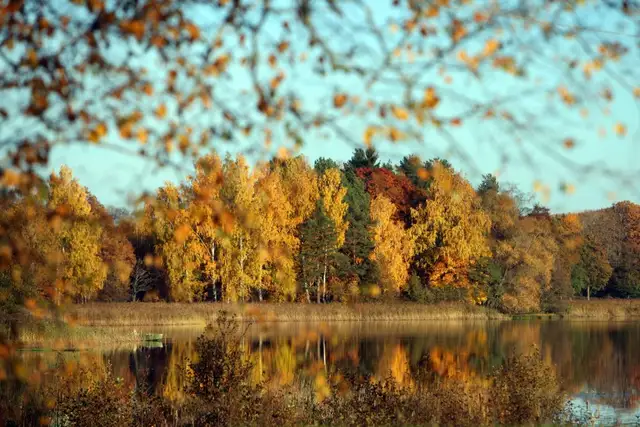 Ceturtdiena Latvijā būs saulaina un sausa