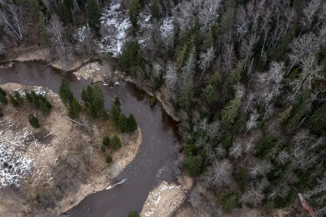 Nākamnedēļ dienās gaidāma pozitīva gaisa temperatūra
