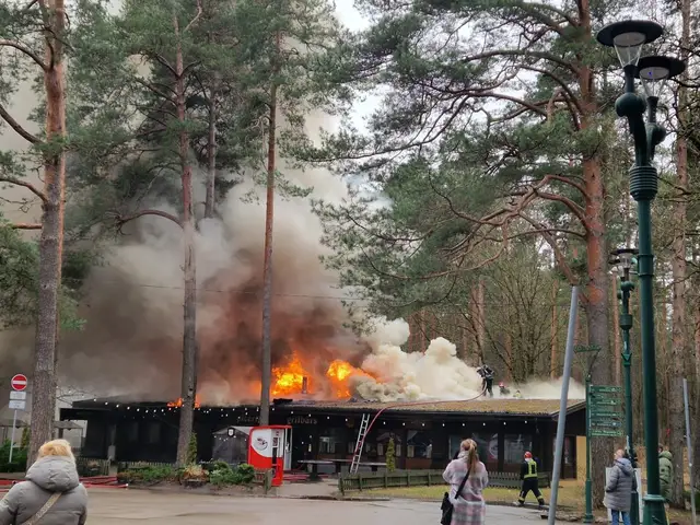 В Межапарке возник обширный пожар в общественном здании (ВИДЕО)