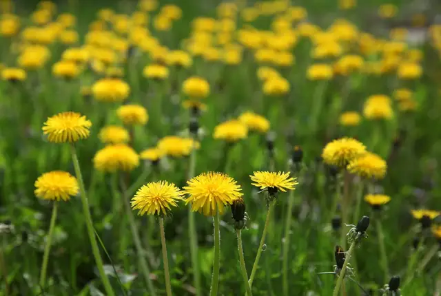 Otrdien pūtīs brāzmains vējš un palaikam spīdēs saule