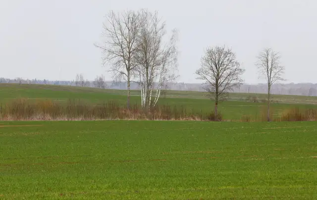 Svētdien nokrišņi Latvijā nav gaidāmi