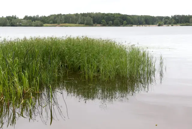 В воде Земли исчезает кое-что жизненно важное — последствия могут остаться на века